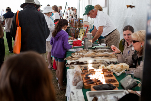 The Sense-of-Place tent hosted representatives from state parks. Many of the docents offered information about the wildlife at the parks.